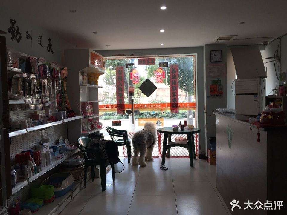 上海卖宠物的宠物店