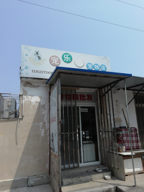 浙江宠物店电话-浙江宠物店联系方式