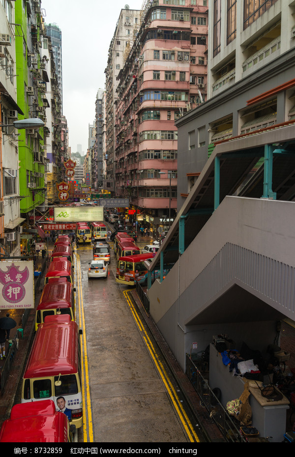 香港旺角宠物街