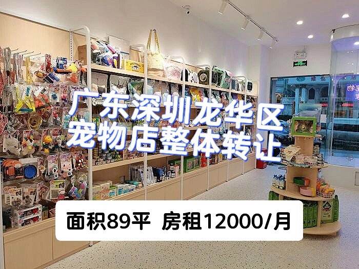 深圳正规的宠物店