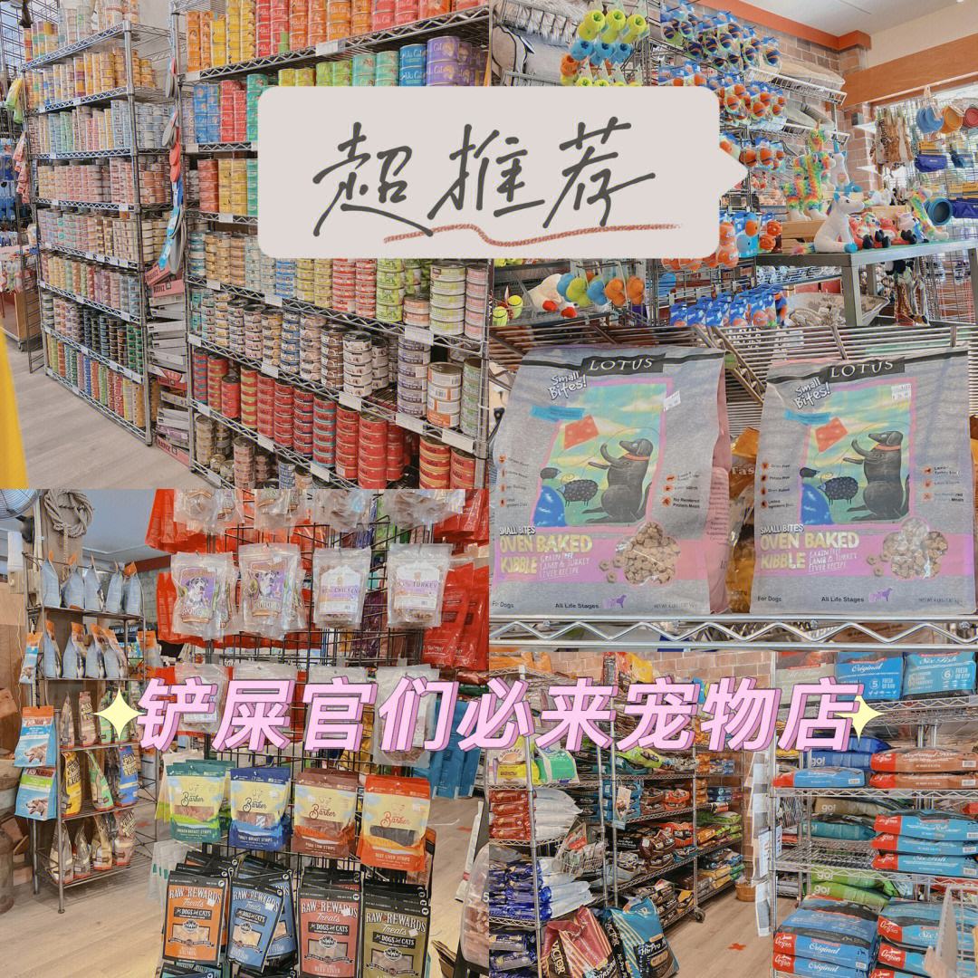 老闵行宠物店地址-上海闵行宠物市场在哪