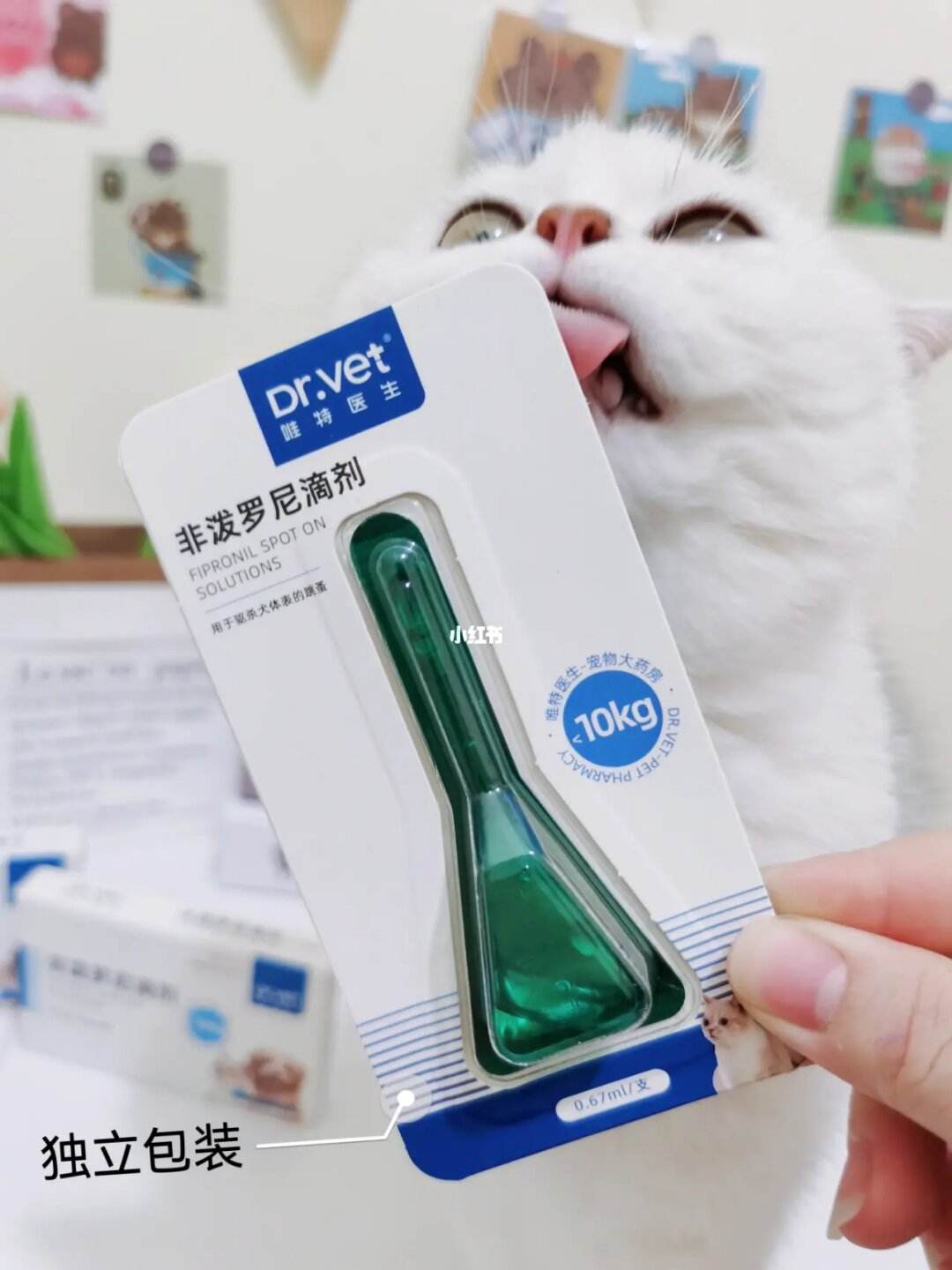 宠物店小猫驱虫多少钱