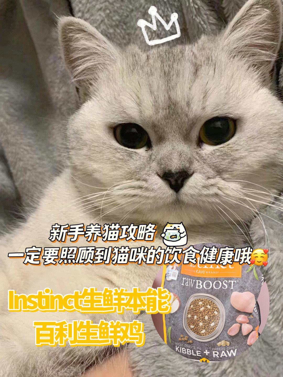 猫可以吃鸡骨头吗-猫吃了鸡骨头怎么补救