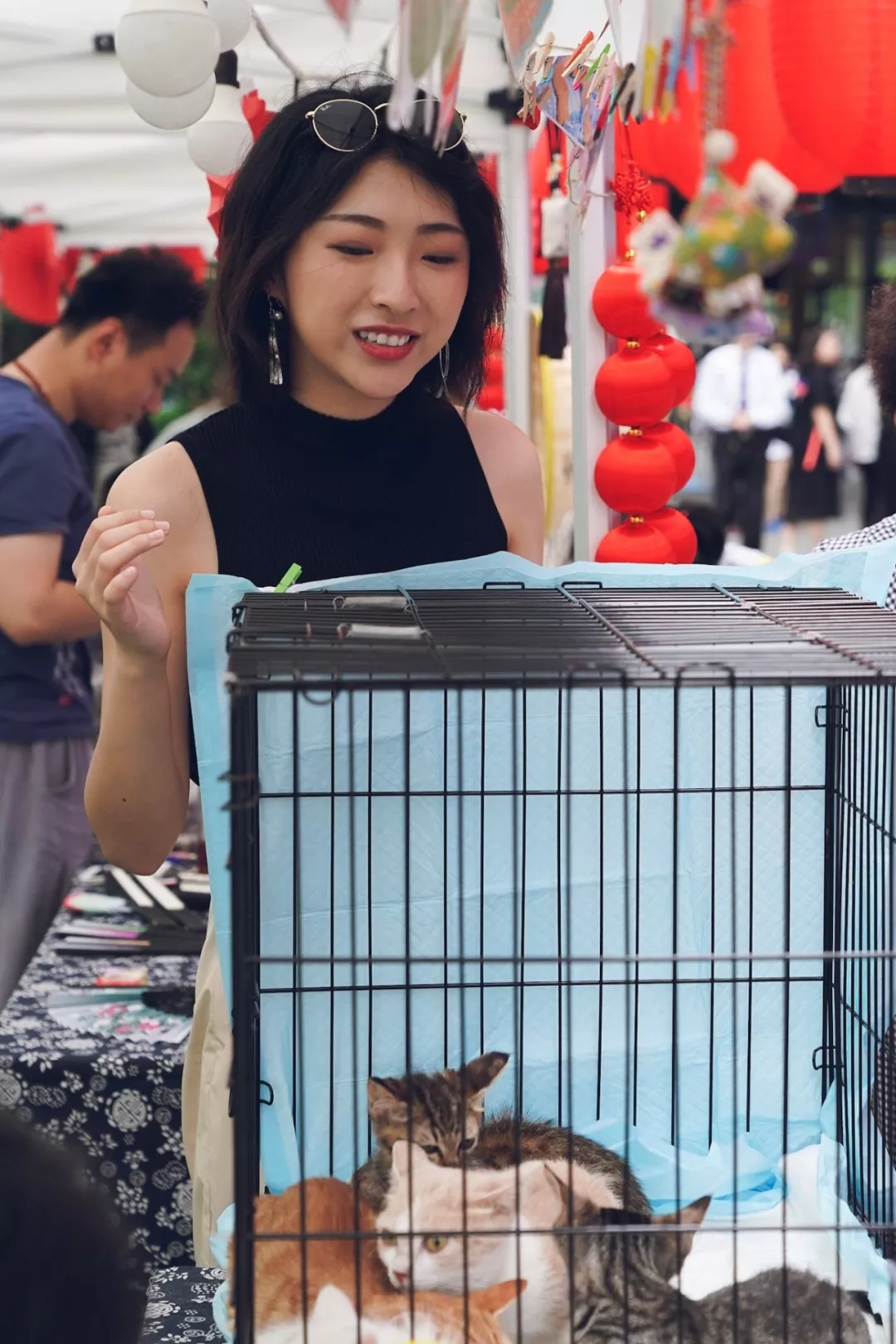 领养宠物展会-宠物展可以领养宠物吗