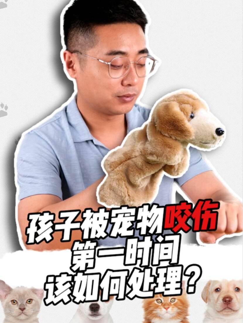 被宠物咬伤怎么处理-被宠物咬了怎么办?必须打吗?