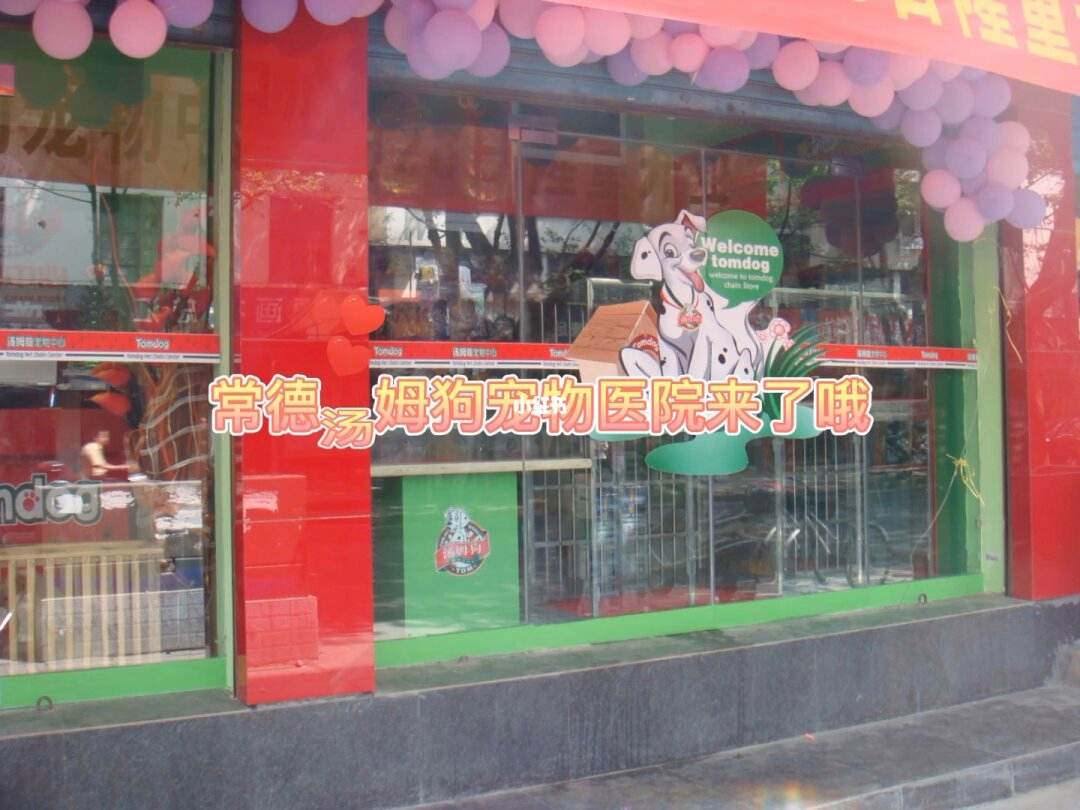 常德宠物馆-常德市宠物店电话