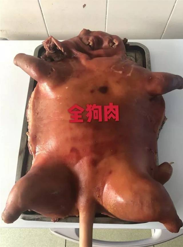 宠物的狗肉好吃