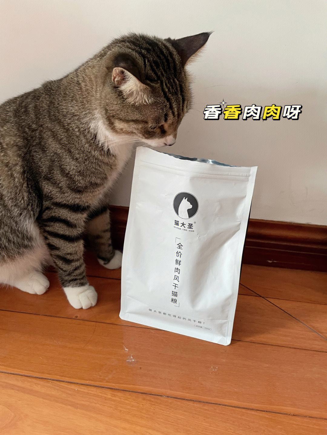 猫咪可以吃牛肉吗-猫咪可以吃牛肉吗蓝莓吗