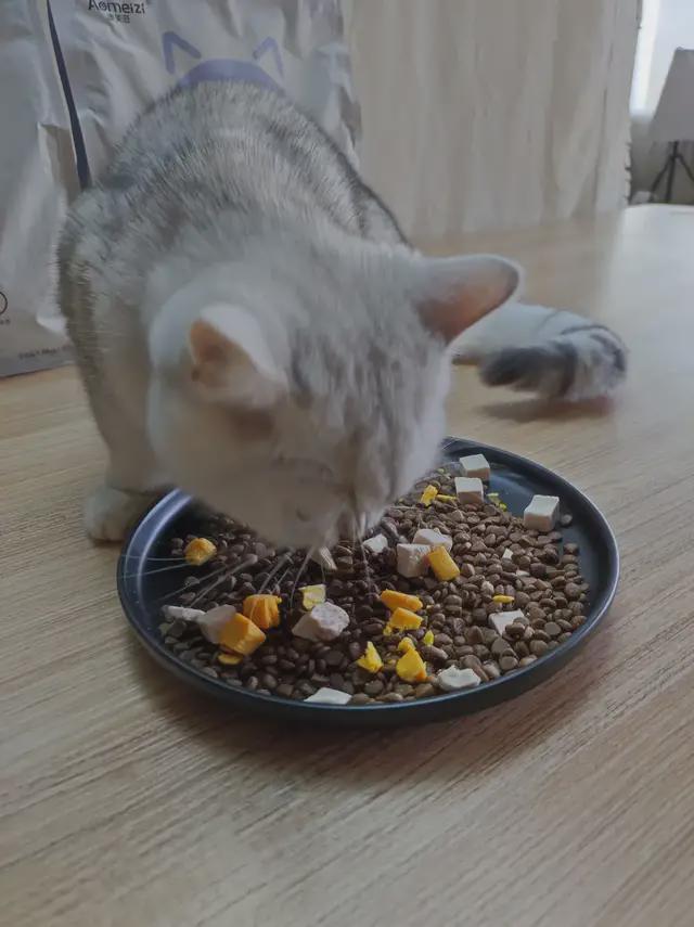 猫咪可以吃牛肉吗-猫咪可以吃牛肉吗蓝莓吗