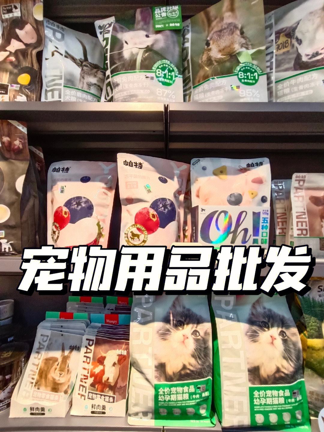 最好宠物用品