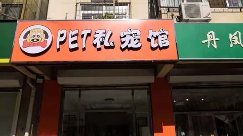 天津卖宠物的宠物店