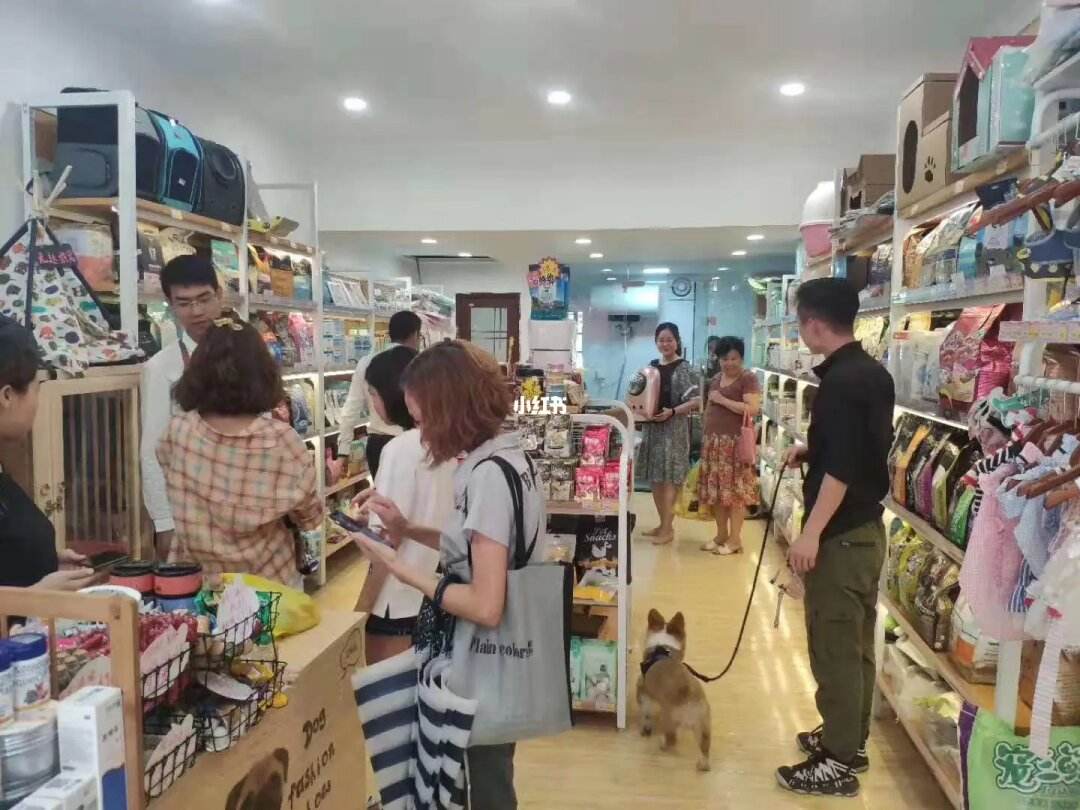 宠物店员工要做什么