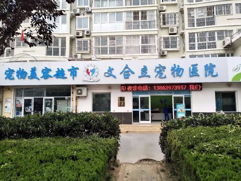 宠物美容店地址-附近宠物店美容电话