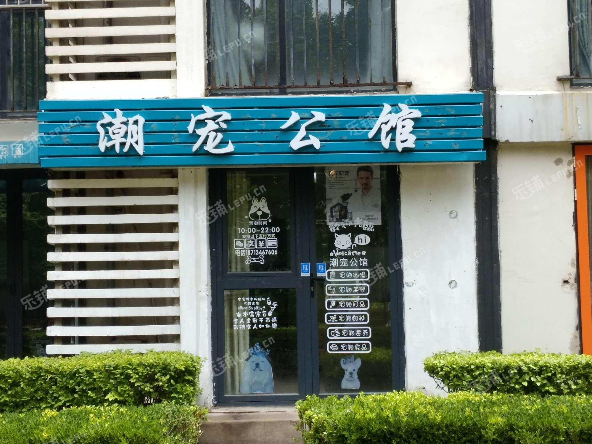 朝阳哪有宠物店-北京朝阳区宠物市场在哪里