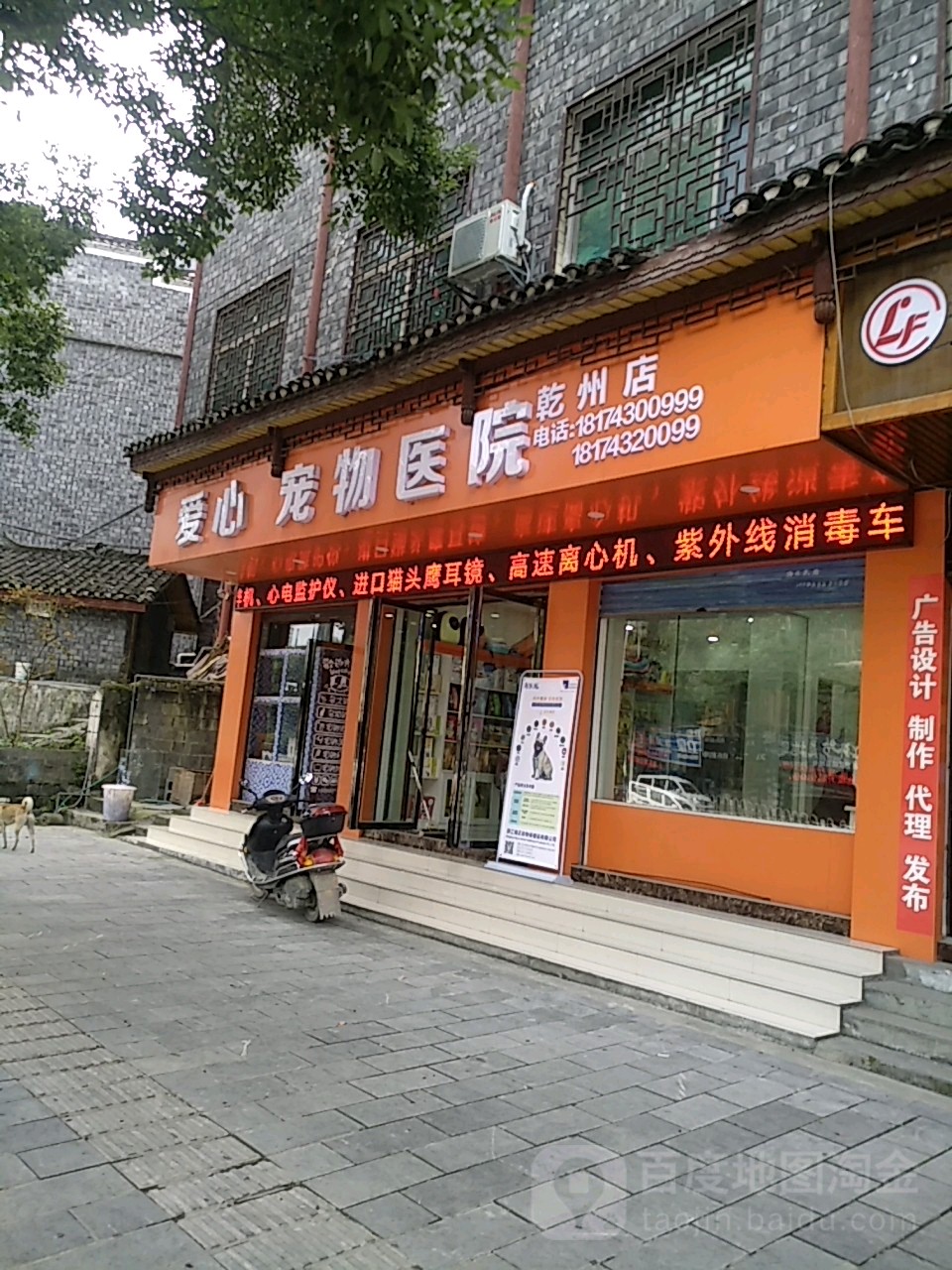 附近宠物店有哪些-附近有哪几家宠物店