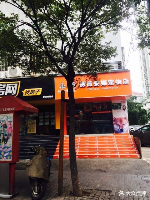 上海最好宠物店-上海最好宠物店是哪家