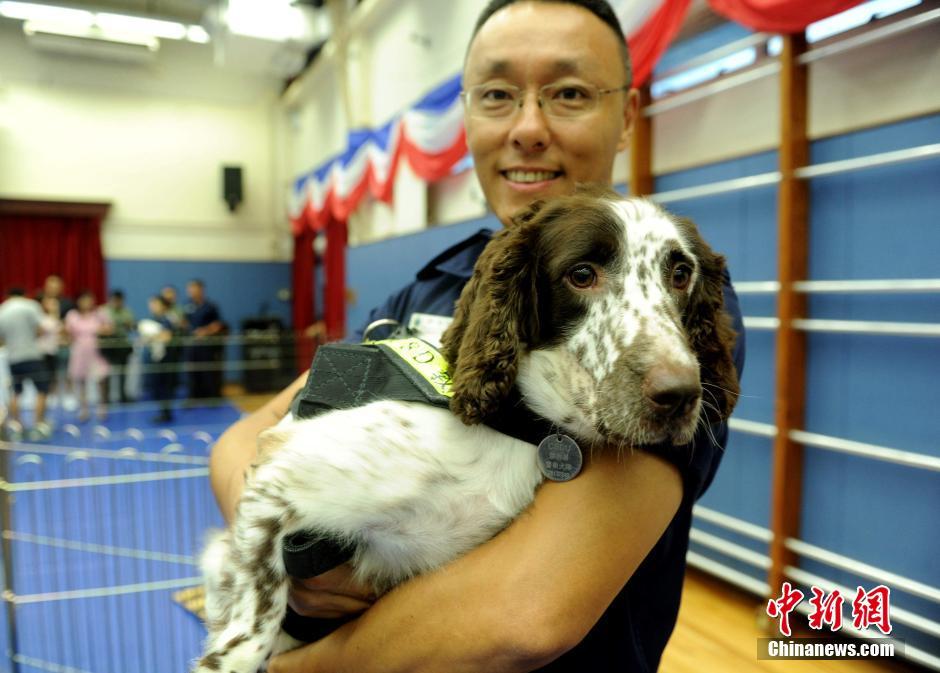 宠物犬入境-宠物入境中国手续