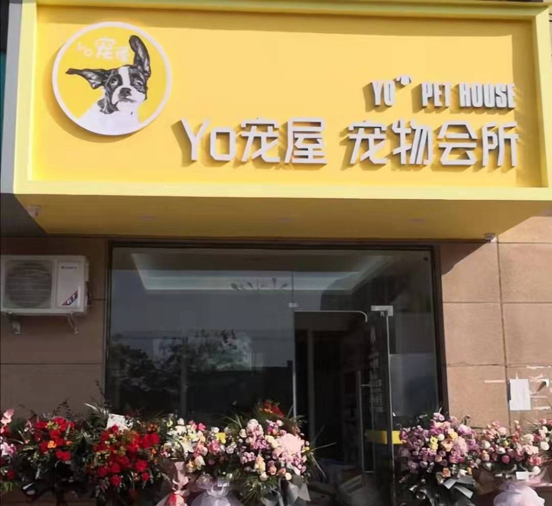 开宠物店倒闭了宠物怎么办-刚开的宠物店生意不好怎么办