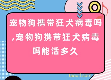 宠物狗狂犬病毒-宠物狗狂犬病毒可以检测出来吗