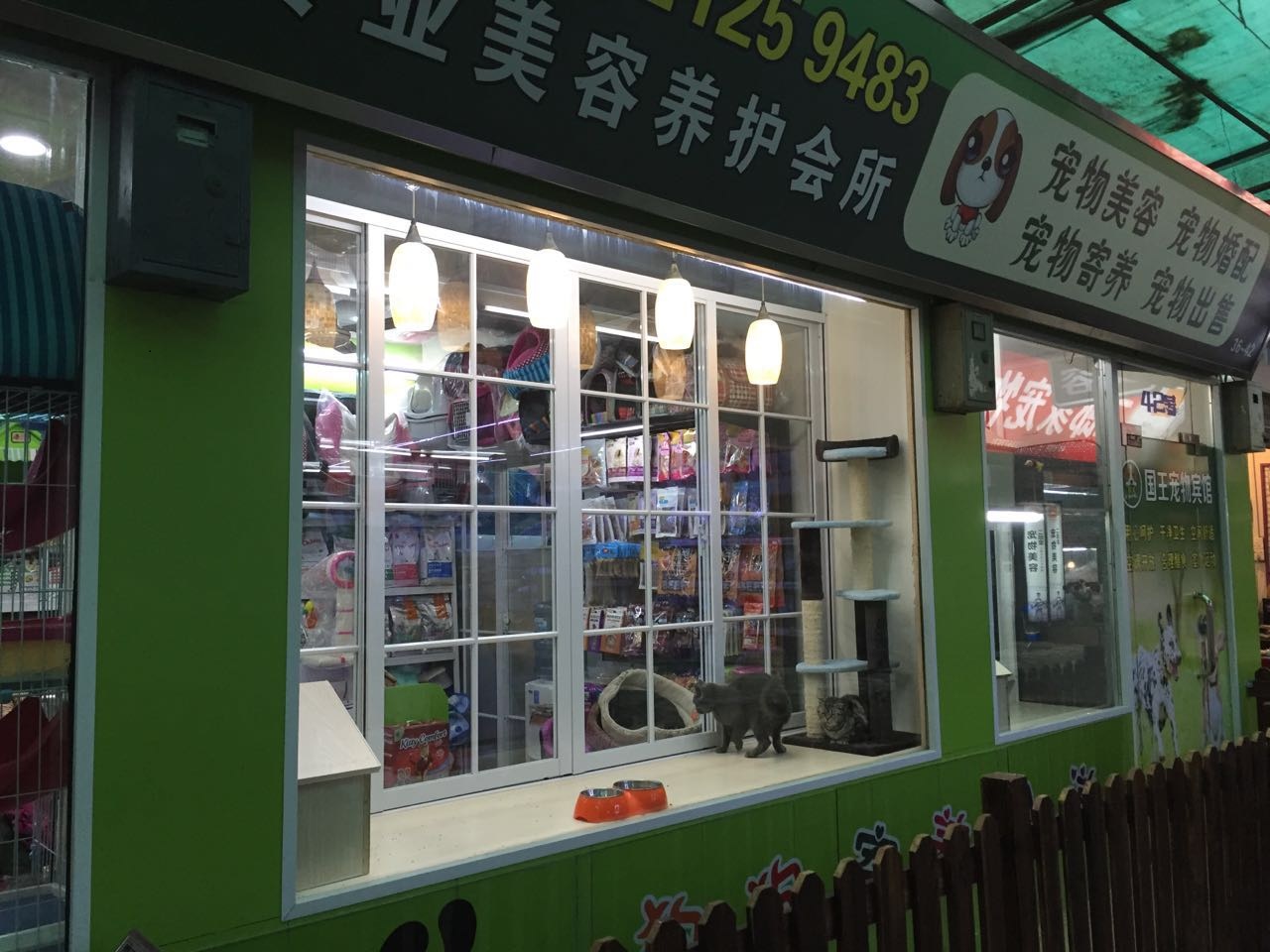 上海最大宠物店