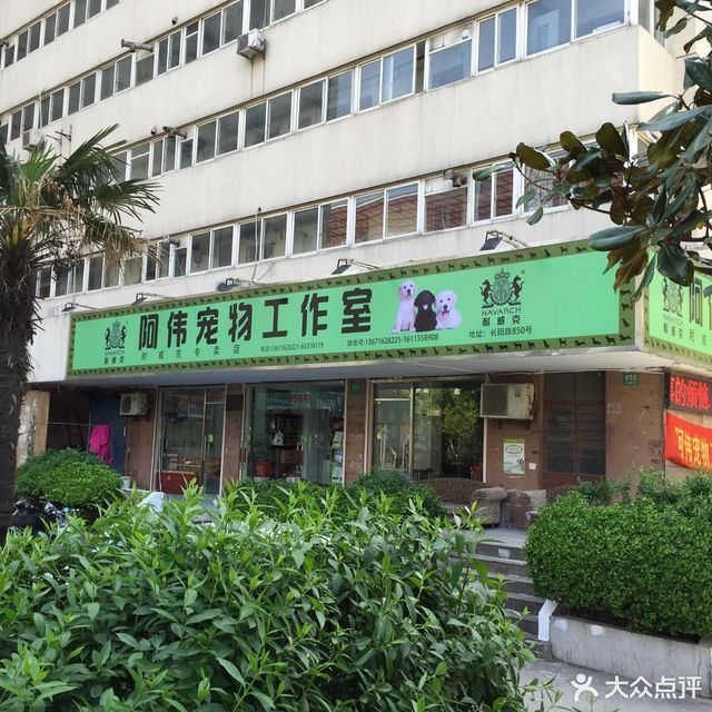 南京市宠物市场地址