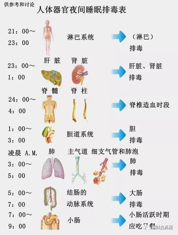 生物钟图片-生物钟图片大全