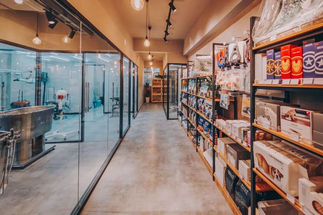 开家宠物店的前景