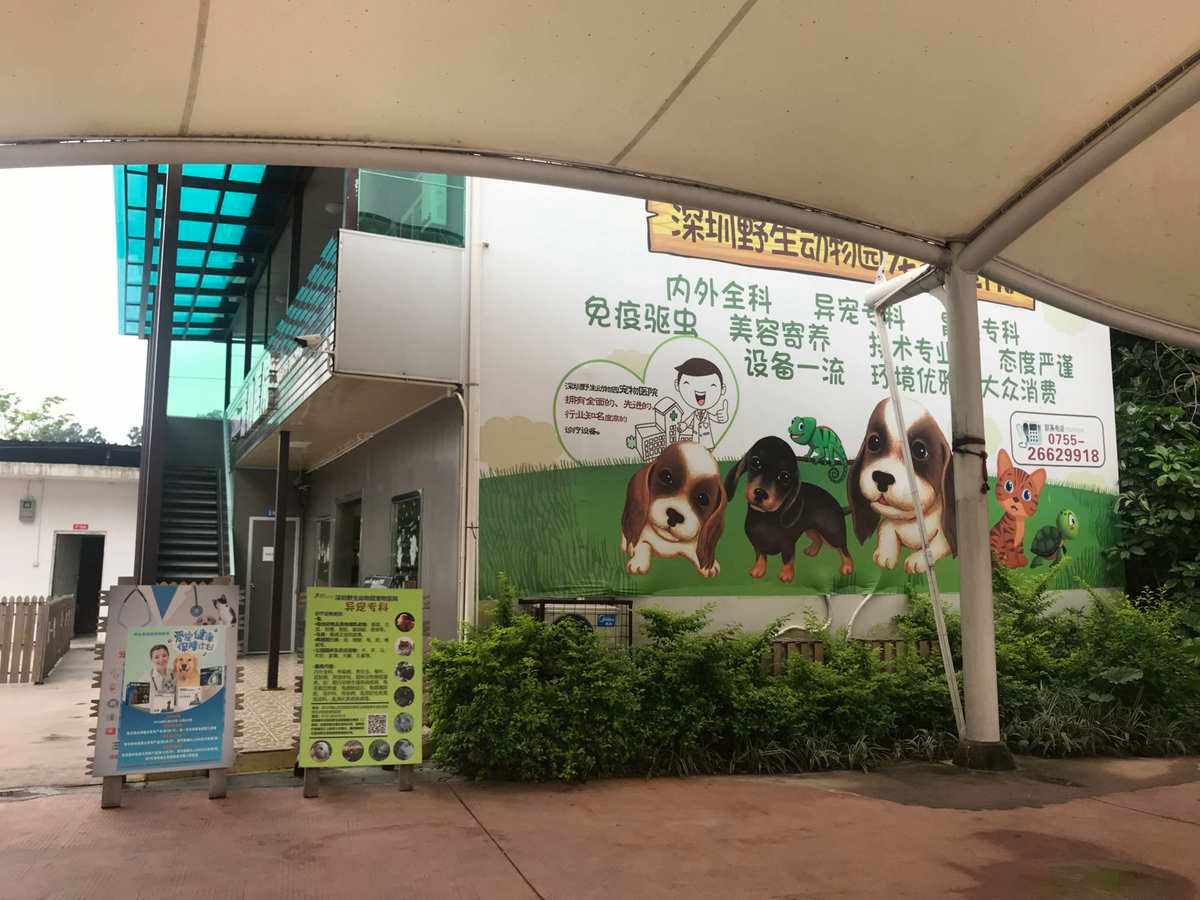 深圳有宠物市场吗-深圳大型宠物市场在哪里