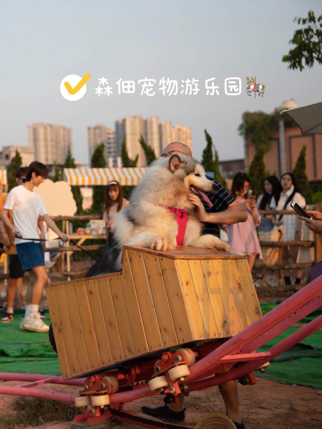 广州附近宠物乐园-广州附近宠物乐园有哪些