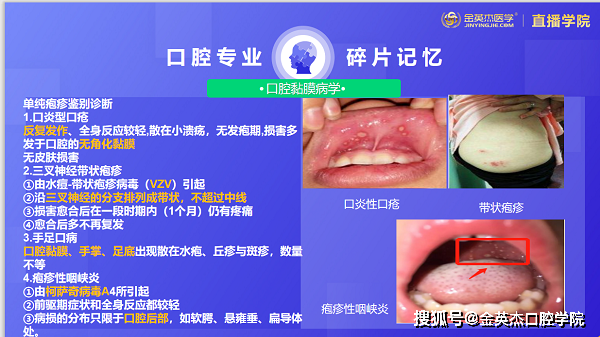 口炎怎么治疗-猫咪轻微口炎怎么治疗