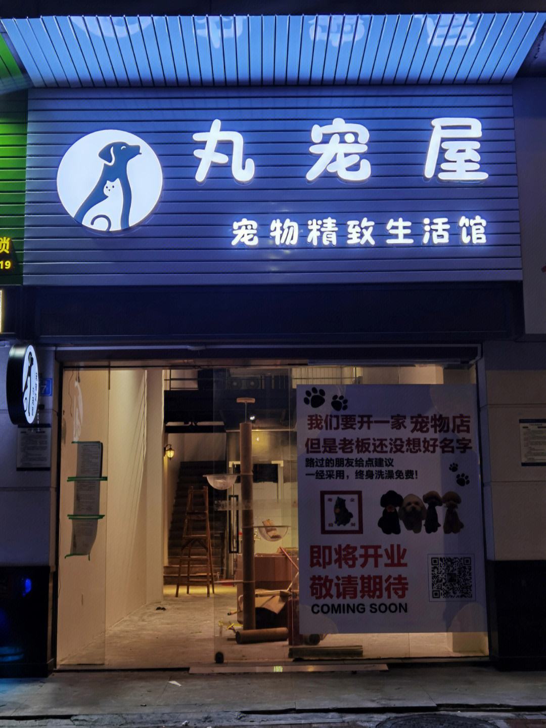 宠物店装修需要些什么-宠物店装修需要注意什么细节