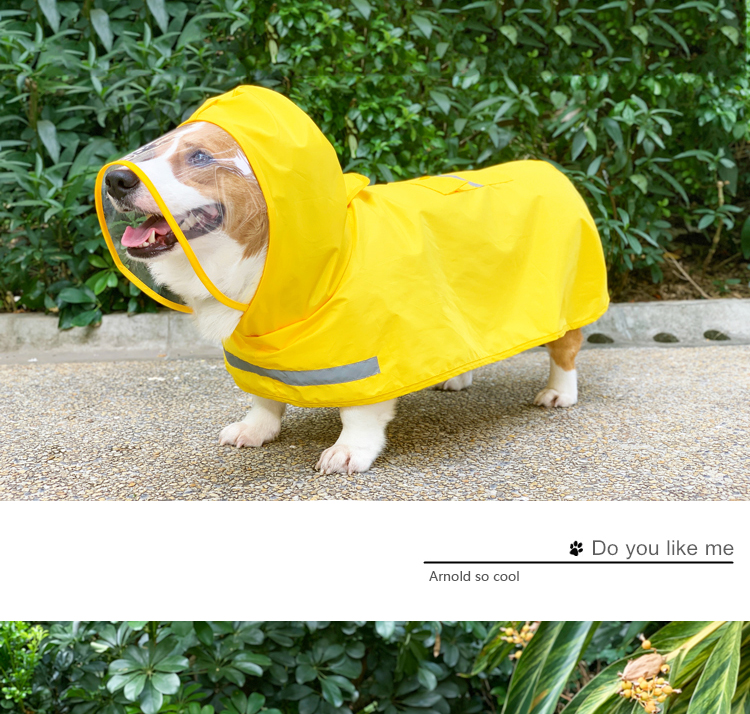 宠物雨衣自制-如何用雨衣自制环保服装