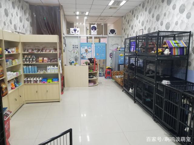 南京宠物店寄养