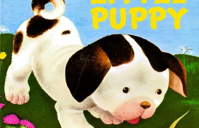 puppy复数-puppy复数英语怎么写