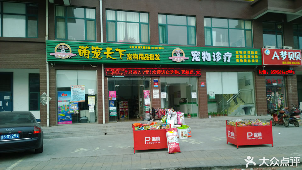 临沂市的宠物店