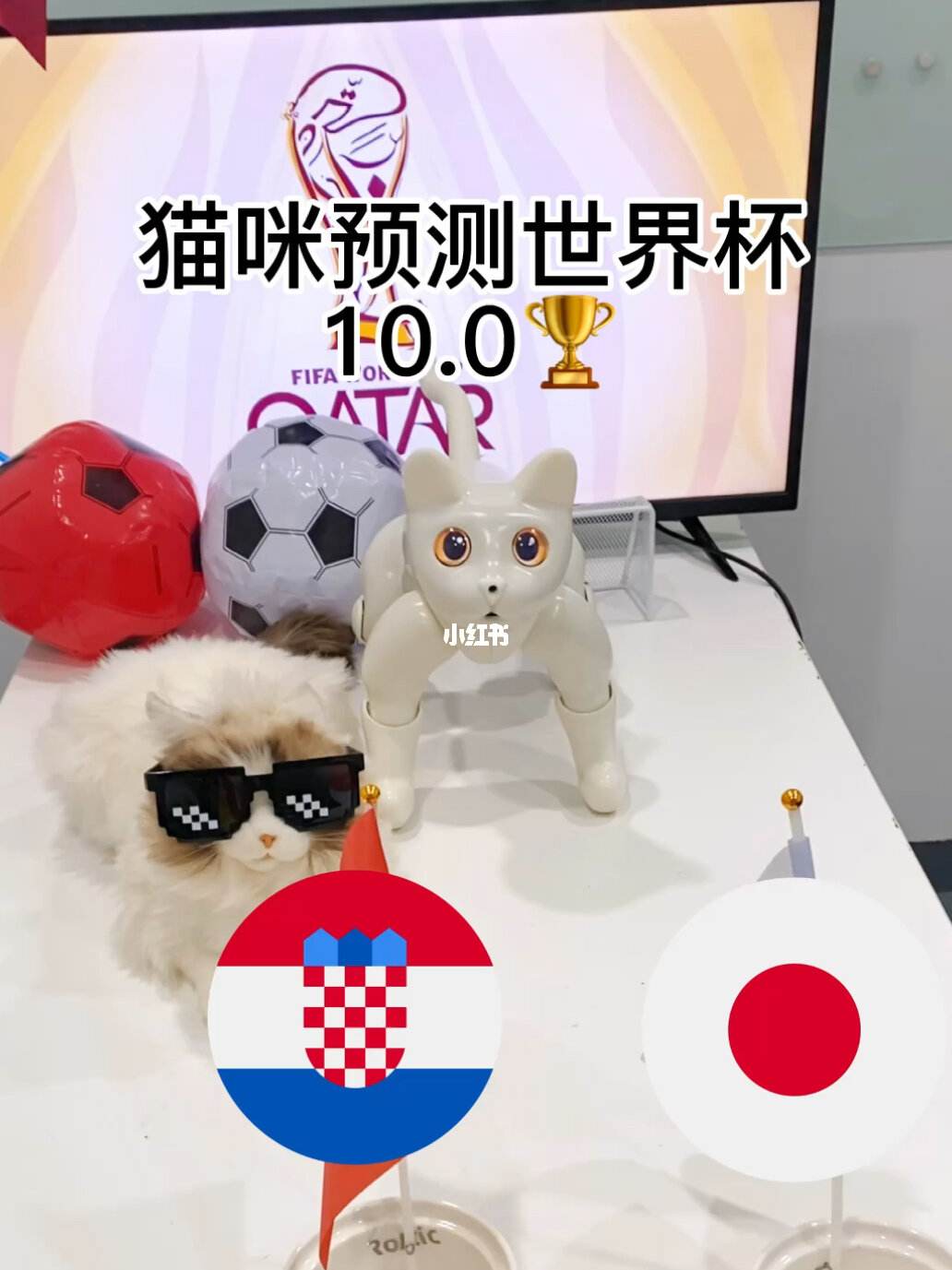 宠物世界杯-宠物世界百度百科