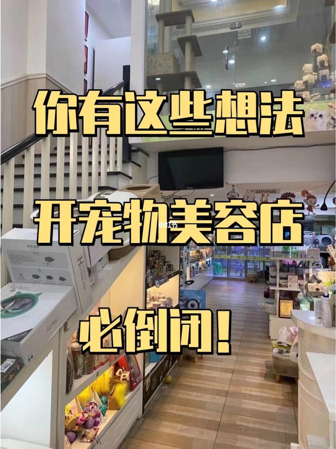 宠物店预算