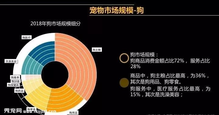 宠物政策支持-宠物行业政策支持