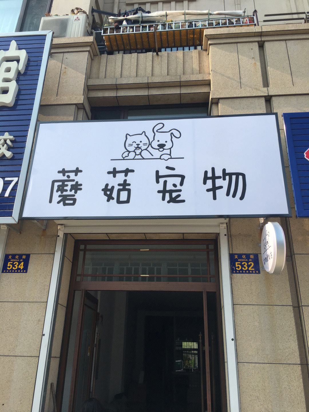 国外宠物店都有些什么宠物-国外宠物店都有些什么宠物品牌