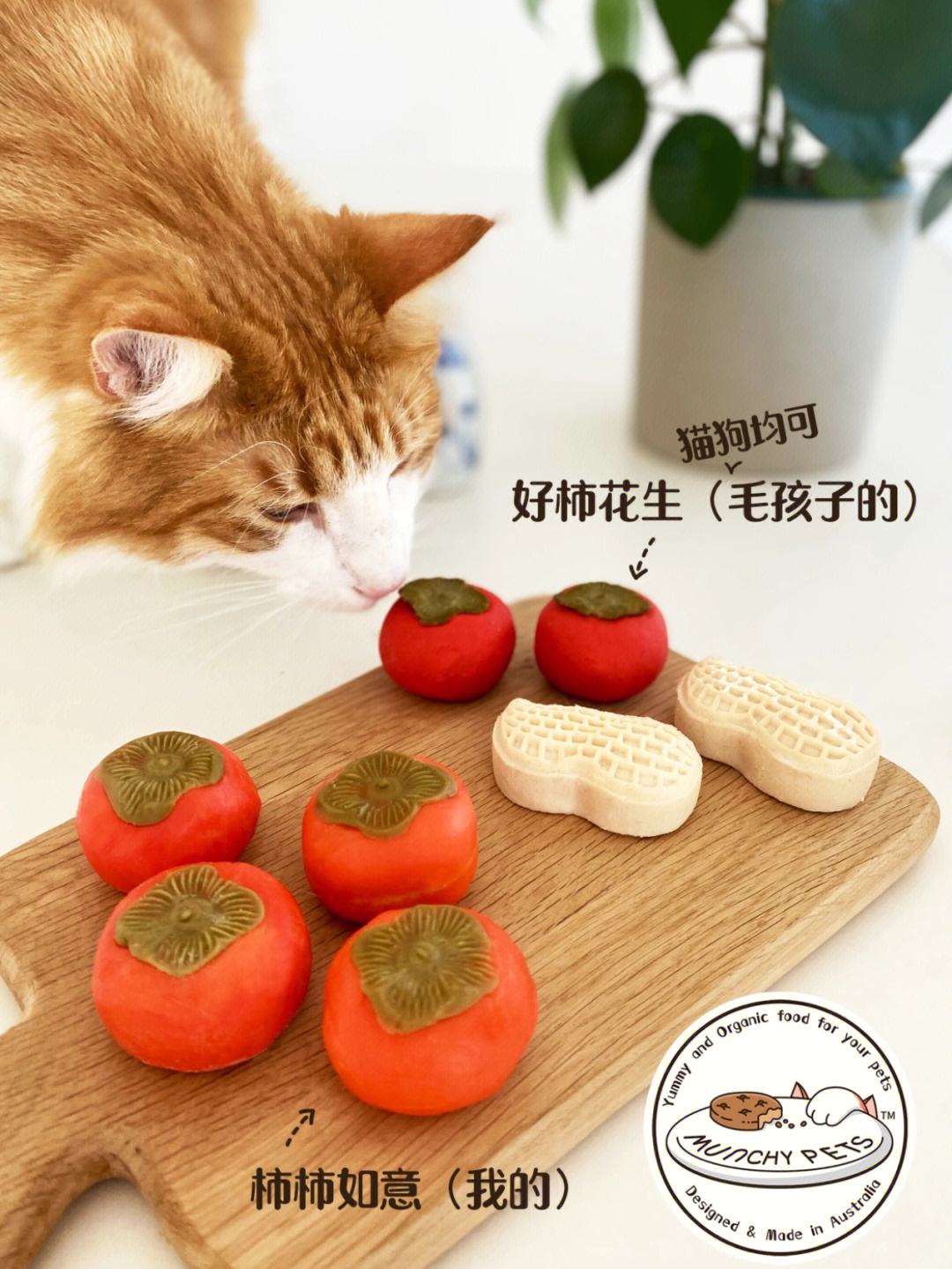 猫能不能吃花生