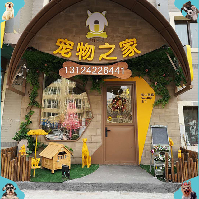 宠物店的宠物从哪