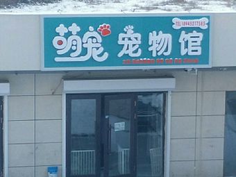 吉林市哪有宠物店