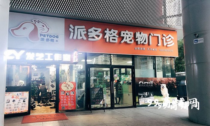 厦门派多格宠物店曝光-派多格宠物技术专修学校地址