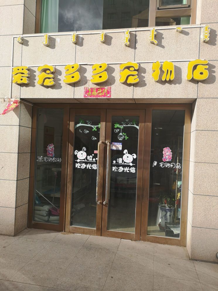 乌鲁木齐宠物商店-乌鲁木齐宠物狗商家