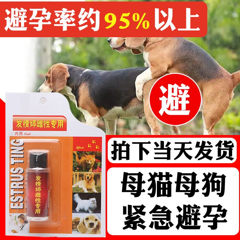 宠物避孕药后