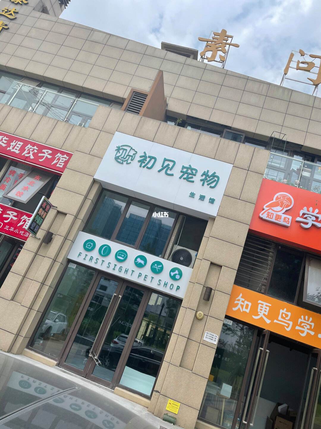 洋气的宠物店名