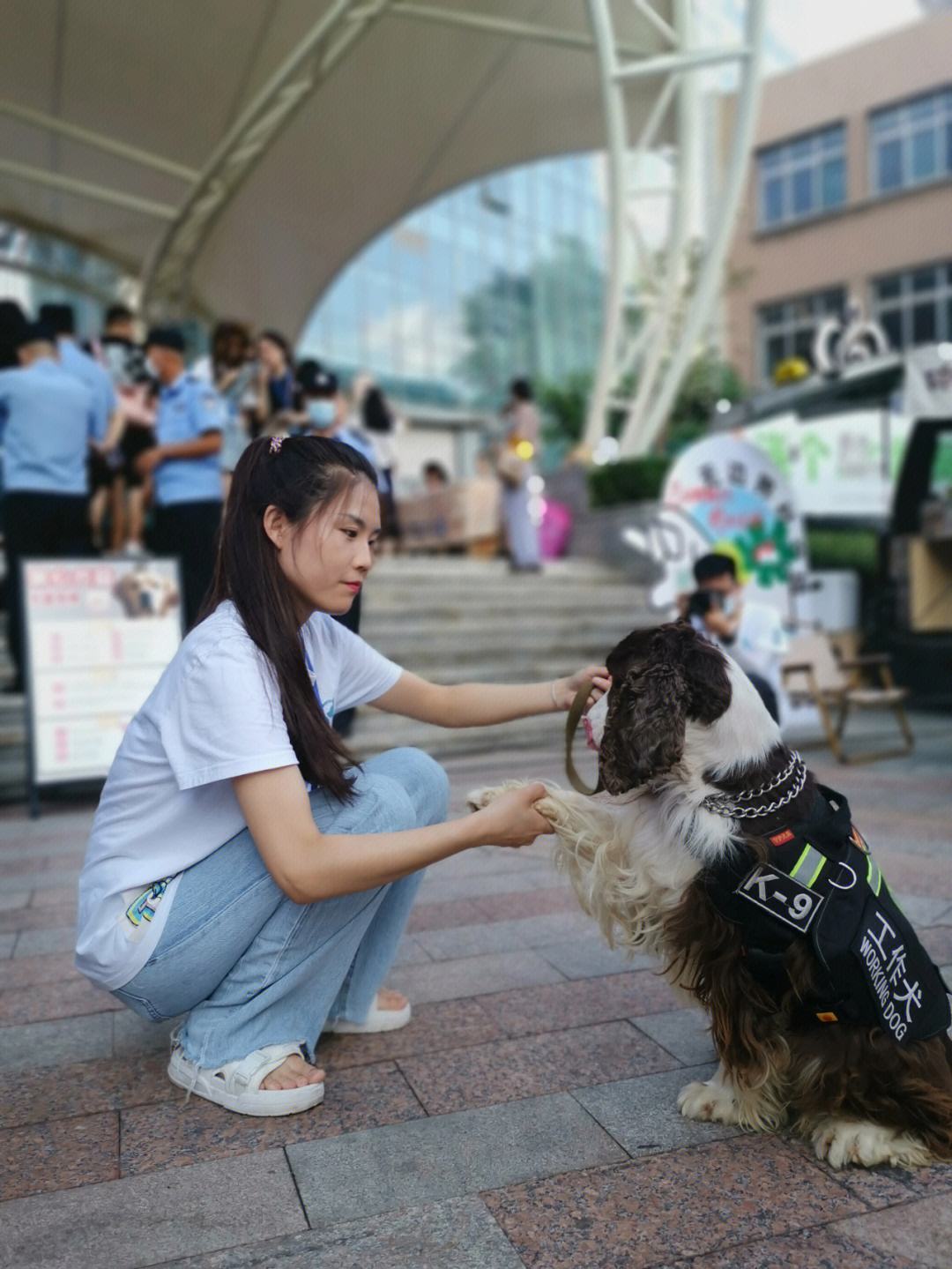 广州宠物领养处