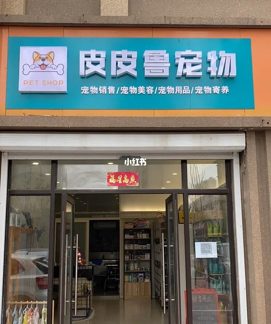 宠物店活体