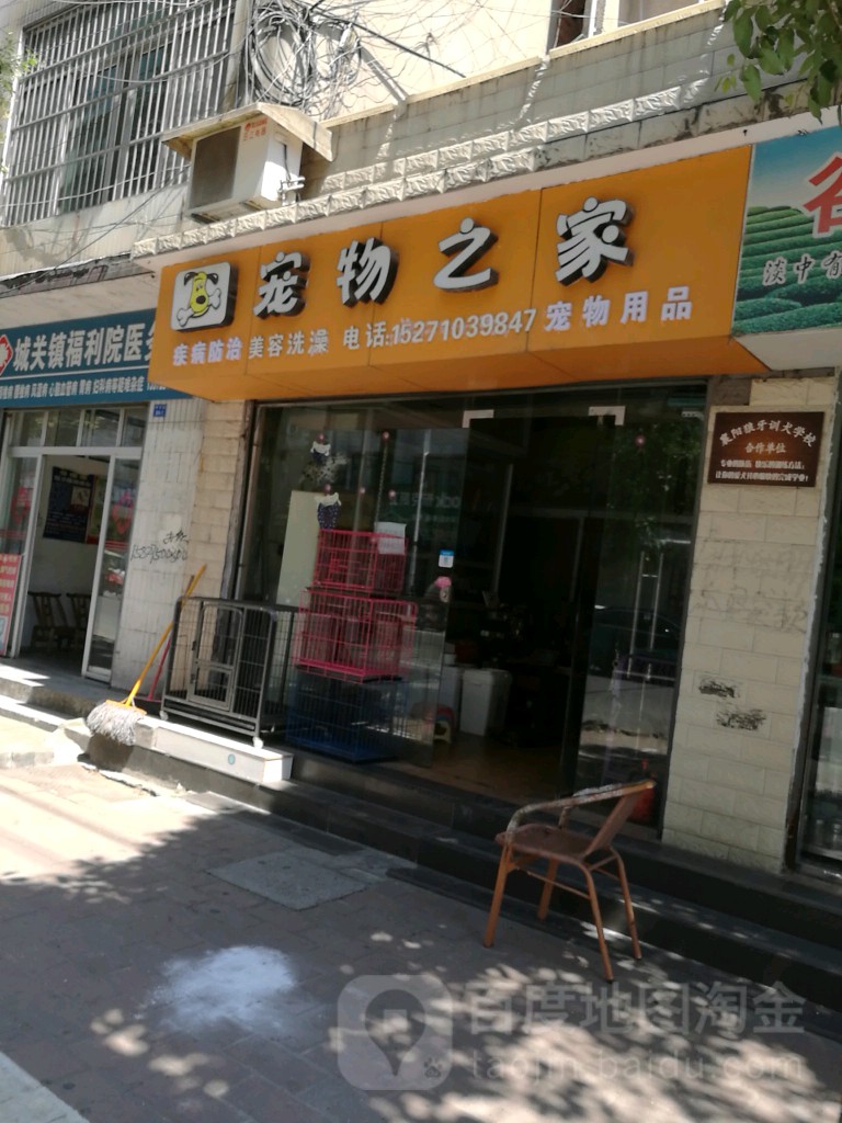 随州宠物店