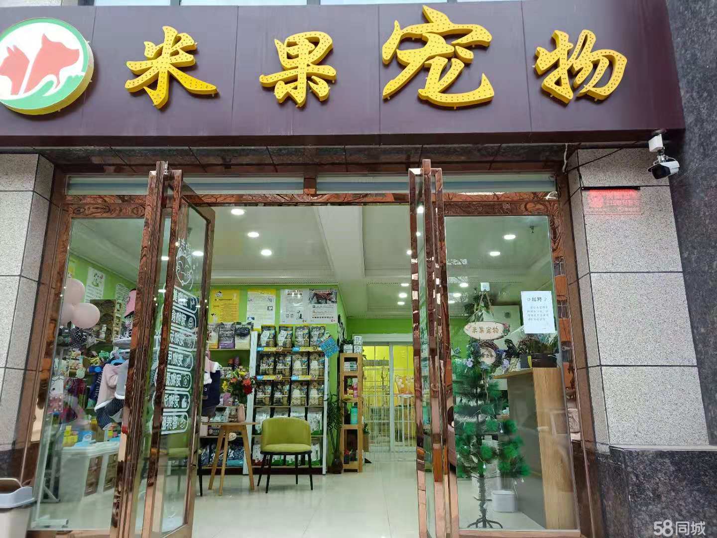 西安宠物店地址